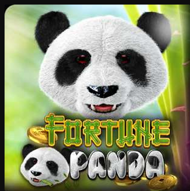 Fortune Panda